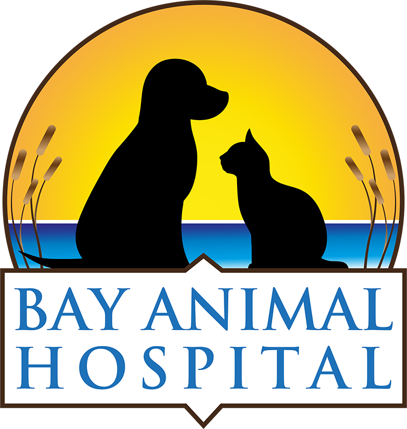 bay animal hospital logo