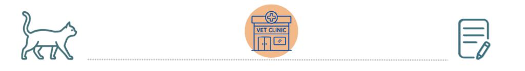 healthy dogs and cats after preventive care supported by pet insurance at Bay Animal Hospital Townsend DE