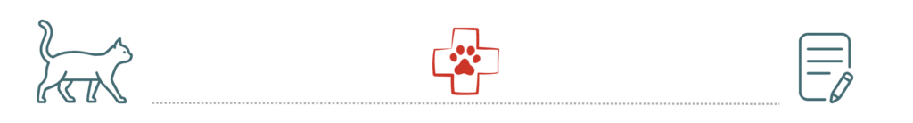 healthy dogs and cats after preventive care supported by pet insurance at Bay Animal Hospital Townsend DE