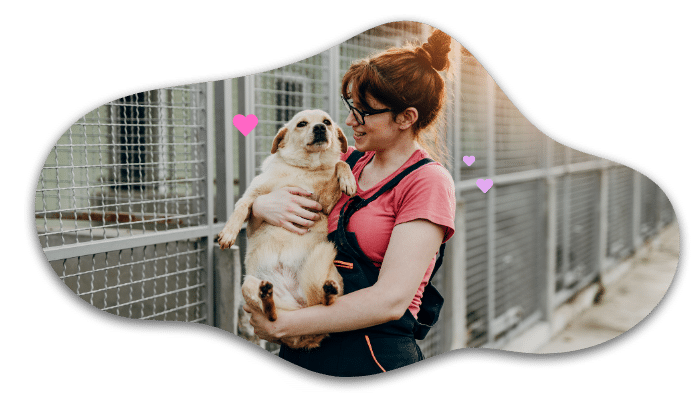 Shelter pet beginning a new life with veterinary support from Bay Animal Hospital in Townsend, DE