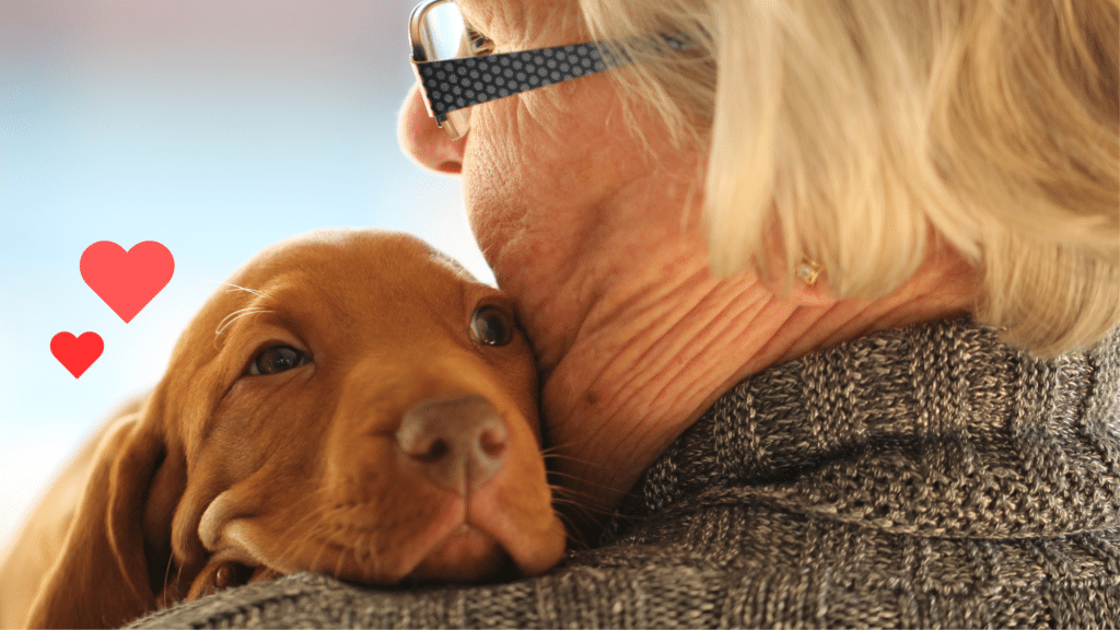 New dog bonding with an owner as part of a starter guide from Bay Animal Hospital near Townsend